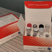 DENVIT Real-Time PCR